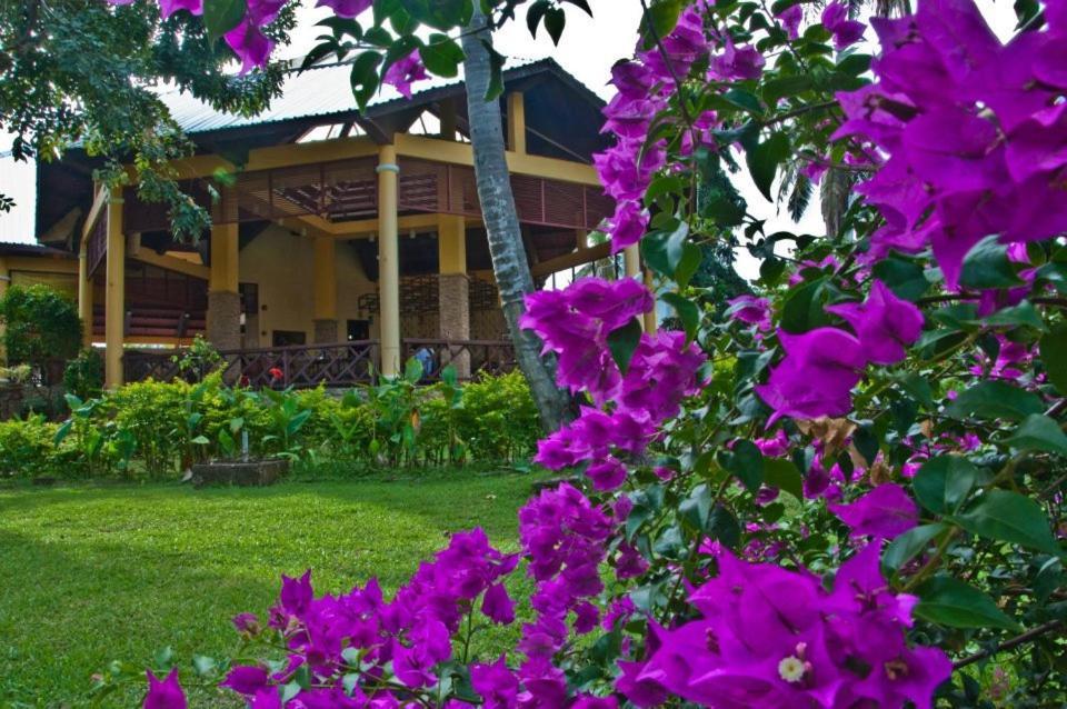 Crystal Paradise Resort Spa & Winery 나라 외부 사진